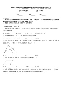 2022-2023学年陕西省西安市信德中学数学七下期末监测试题含答案