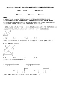 2022-2023学年黑龙江省哈尔滨市49中学数学七下期末综合测试模拟试题含答案