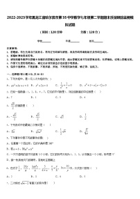 2022-2023学年黑龙江省哈尔滨市第35中学数学七年级第二学期期末质量跟踪监视模拟试题含答案