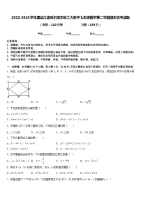 2022-2023学年黑龙江省哈尔滨市哈工大附中七年级数学第二学期期末统考试题含答案