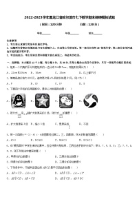 2022-2023学年黑龙江省哈尔滨市七下数学期末调研模拟试题含答案