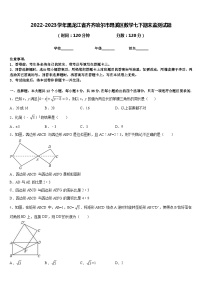 2022-2023学年黑龙江省齐齐哈尔市昂溪区数学七下期末监测试题含答案