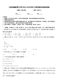 上海市黄浦区第十中学2022-2023学年七下数学期末达标测试试题含答案