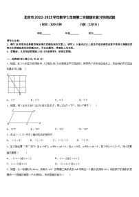 北京市2022-2023学年数学七年级第二学期期末复习检测试题含答案