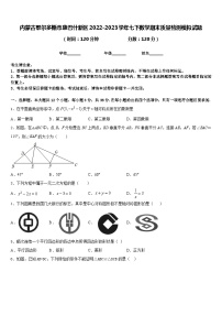 内蒙古鄂尔多斯市康巴什新区2022-2023学年七下数学期末质量检测模拟试题含答案