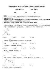 合肥市寿春中学2022-2023学年七下数学期末学业质量监测试题含答案