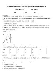 吉林省长春市外国语学校2022-2023学年七下数学期末检测模拟试题含答案