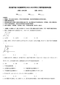 四川省宁南三峡白鹤滩学校2022-2023学年七下数学期末联考试题含答案