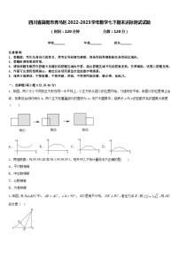 四川省简阳市养马区2022-2023学年数学七下期末达标测试试题含答案