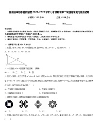 四川省绵阳市名校联盟2022-2023学年七年级数学第二学期期末复习检测试题含答案