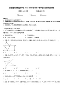 安徽省亳州市高炉学校2022-2023学年七下数学期末达标测试试题含答案