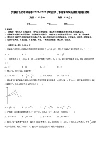 安徽省合肥市巢湖市2022-2023学年数学七下期末教学质量检测模拟试题含答案