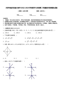 天津市南开区南大附中2022-2023学年数学七年级第二学期期末检测模拟试题含答案