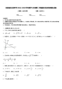 安徽省安庆四中学2022-2023学年数学七年级第二学期期末质量检测模拟试题含答案