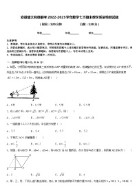 安徽省太和县联考2022-2023学年数学七下期末教学质量检测试题含答案