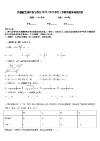 安徽省宣城市奋飞学校2022-2023学年七下数学期末调研试题含答案