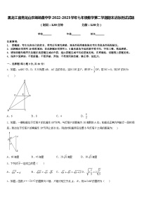 黑龙江省青龙山农场场直中学2022-2023学年七年级数学第二学期期末达标测试试题含答案