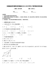 安徽省宿州市埇桥区教育集团2022-2023学年七下数学期末统考试题含答案