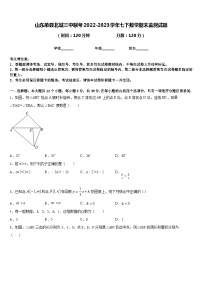 山东单县北城三中联考2022-2023学年七下数学期末监测试题含答案