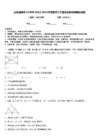 山东威海市14中学2022-2023学年数学七下期末达标检测模拟试题含答案