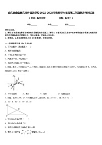 山东南山集团东海外国语学校2022-2023学年数学七年级第二学期期末预测试题含答案