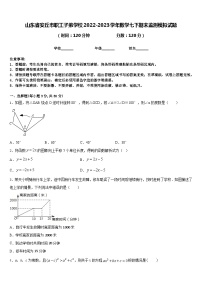 山东省安丘市职工子弟学校2022-2023学年数学七下期末监测模拟试题含答案