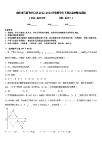 山东省东营市河口区2022-2023学年数学七下期末监测模拟试题含答案