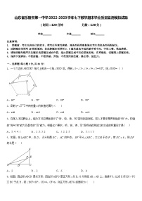 山东省乐陵市第一中学2022-2023学年七下数学期末学业质量监测模拟试题含答案