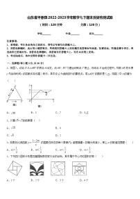 山东省平原县2022-2023学年数学七下期末质量检测试题含答案