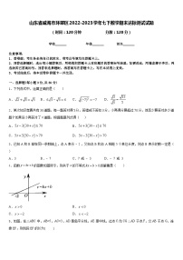 山东省威海市环翠区2022-2023学年七下数学期末达标测试试题含答案