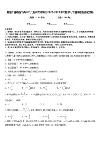 黑龙江省鸡西市虎林市八五八农场学校2022-2023学年数学七下期末综合测试试题含答案