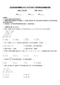 山东省济南市槐荫区2022-2023学年七下数学期末监测模拟试题含答案