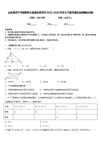 山东省济宁市曲阜师大附属实验学校2022-2023学年七下数学期末监测模拟试题含答案