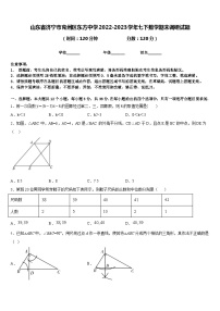 山东省济宁市兖州区东方中学2022-2023学年七下数学期末调研试题含答案