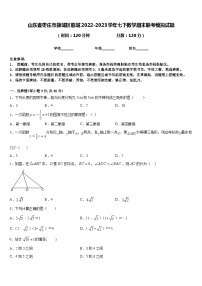 山东省枣庄市薛城区临城2022-2023学年七下数学期末联考模拟试题含答案