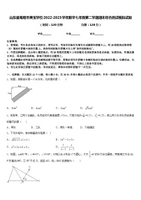 山东省海阳市美宝学校2022-2023学年数学七年级第二学期期末综合测试模拟试题含答案