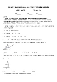 山东省济宁海达行知学校2022-2023学年七下数学期末联考模拟试题含答案