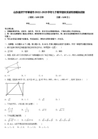 山东省济宁市邹城市2022-2023学年七下数学期末质量检测模拟试题含答案