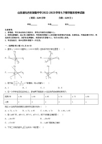 山东省牡丹区胡集中学2022-2023学年七下数学期末统考试题含答案