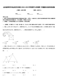 山东省潍坊市峡山经济开发区2022-2023学年数学七年级第二学期期末达标检测试题含答案