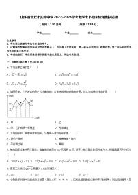 山东省章丘市实验中学2022-2023学年数学七下期末检测模拟试题含答案