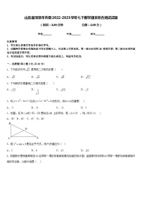 山东省菏泽市曹县2022-2023学年七下数学期末综合测试试题含答案