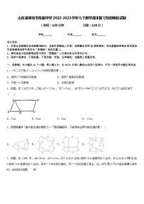 山东省莱芜市陈毅中学2022-2023学年七下数学期末复习检测模拟试题含答案