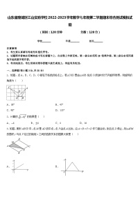 山东省陵城区江山实验学校2022-2023学年数学七年级第二学期期末综合测试模拟试题含答案