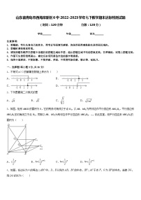 山东省青岛市西海岸新区6中2022-2023学年七下数学期末达标检测试题含答案