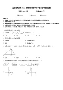 山东省青州市2022-2023学年数学七下期末联考模拟试题含答案