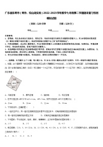 广东省东莞市（莞外、松山湖实验）2022-2023学年数学七年级第二学期期末复习检测模拟试题含答案