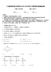 广东省东莞市虎门汇英学校2022-2023学年七下数学期末考试模拟试题含答案