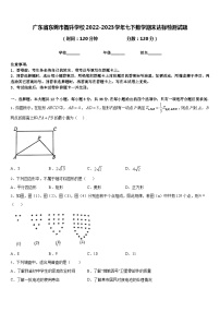 广东省东莞市智升学校2022-2023学年七下数学期末达标检测试题含答案