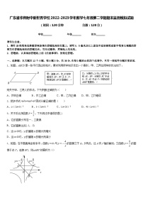 广东省华师附中新世界学校2022-2023学年数学七年级第二学期期末监测模拟试题含答案